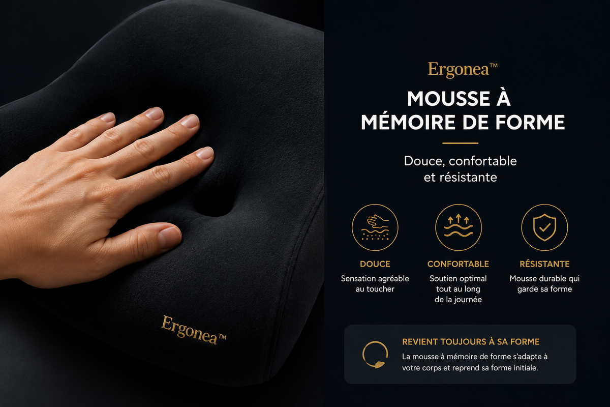 Coussin Lombaire & Appui-Tête Ergonea™ – Confort & Soutien en Voiture